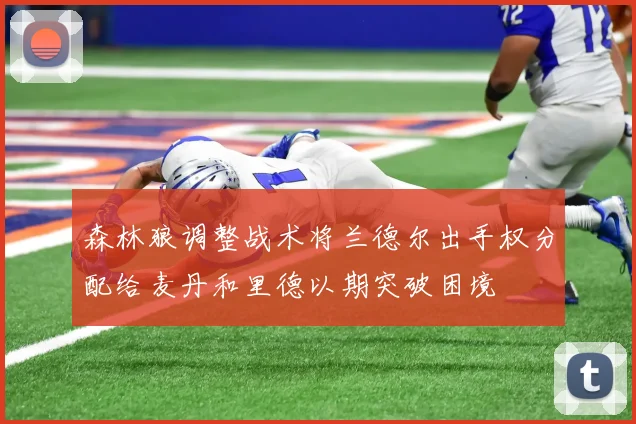 森林狼调整战术将兰德尔出手权分配给麦丹和里德以期突破困境