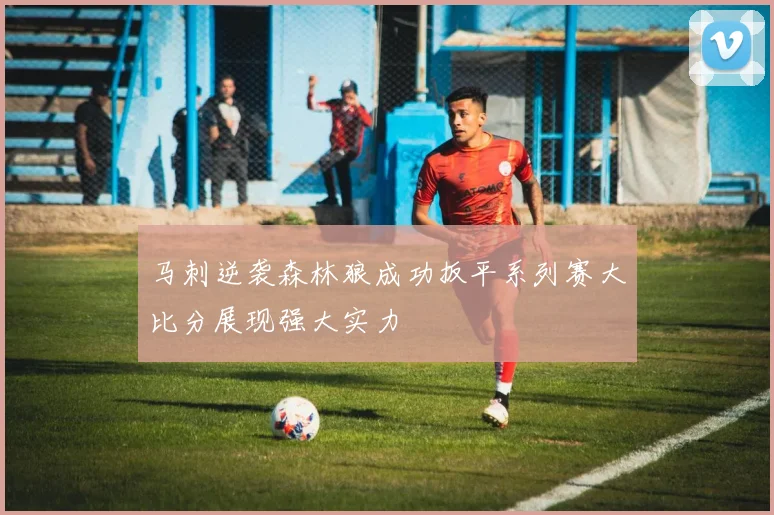 马刺逆袭森林狼成功扳平系列赛大比分展现强大实力